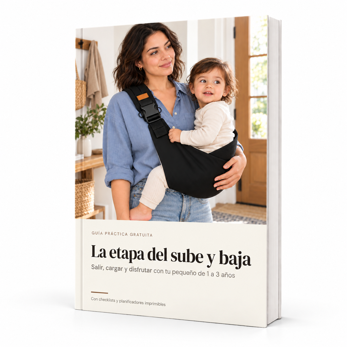 + Guía de Porteo y Salidas GRATIS