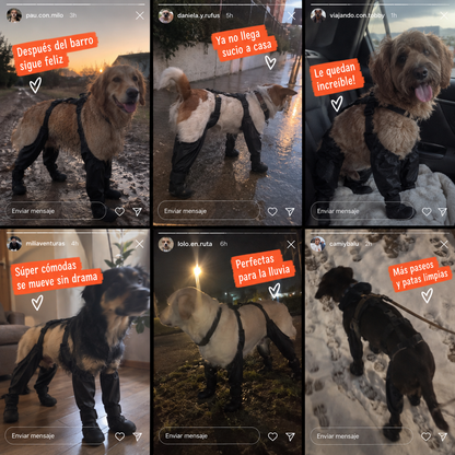 Botas Impermeables para Perros