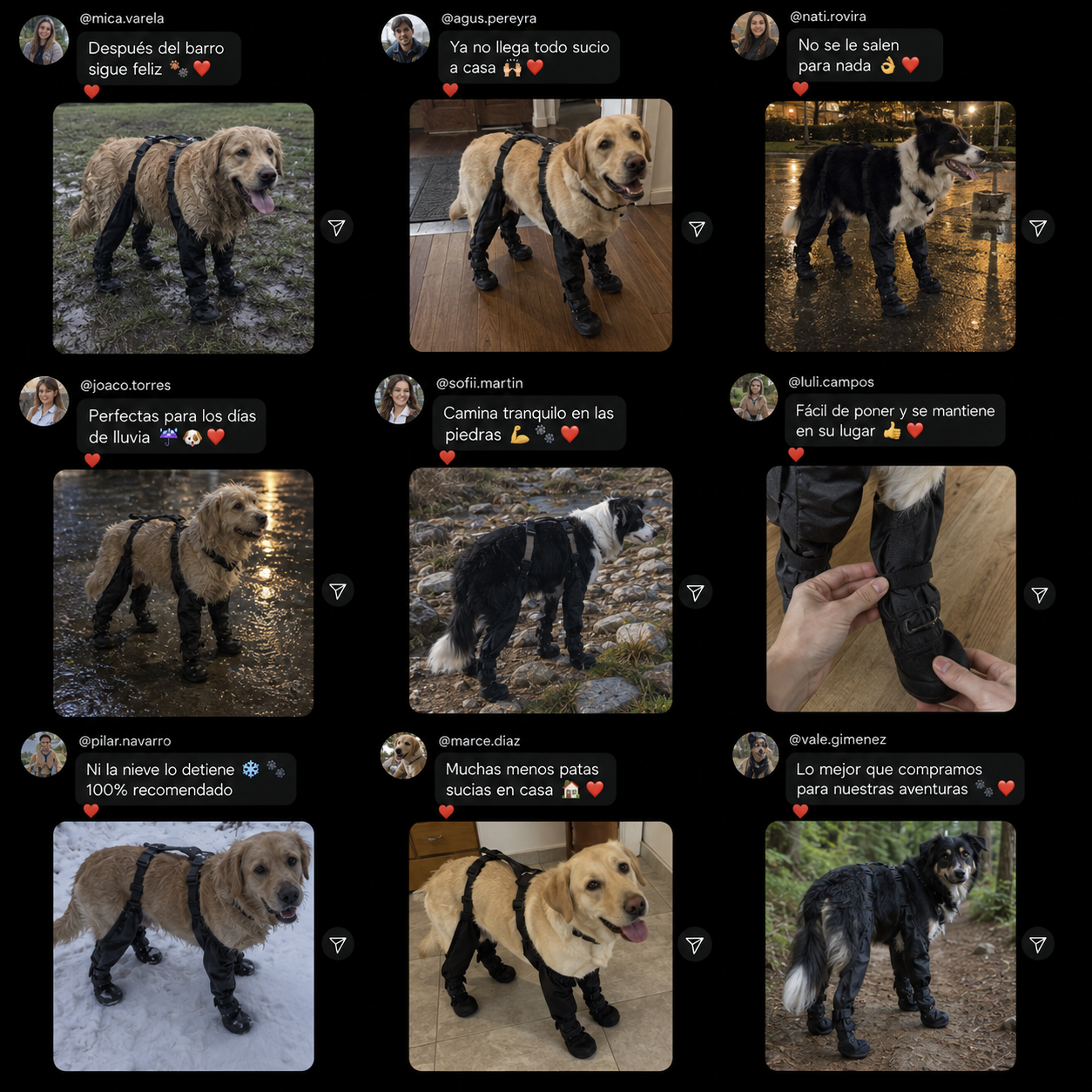Botas Impermeables para Perros